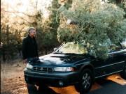 Clip Eva - 1001 kiểu tai nạn khiến cây thông trở thành biểu tượng của "thảm họa"