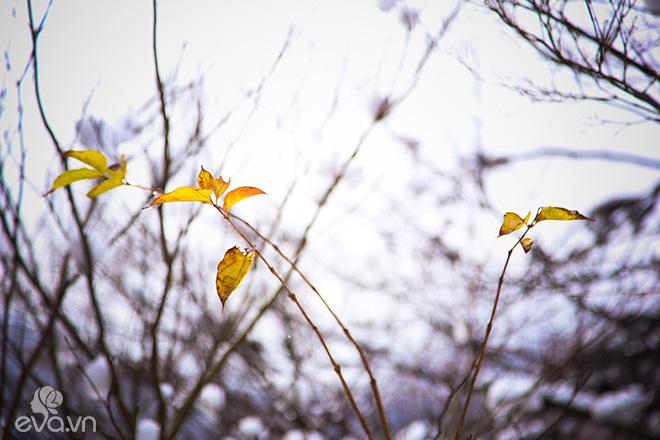 Tận mắt thấy quê hương của chú mèo máy Doraemon - làng Shirakawago đẹp như cổ tích - 10