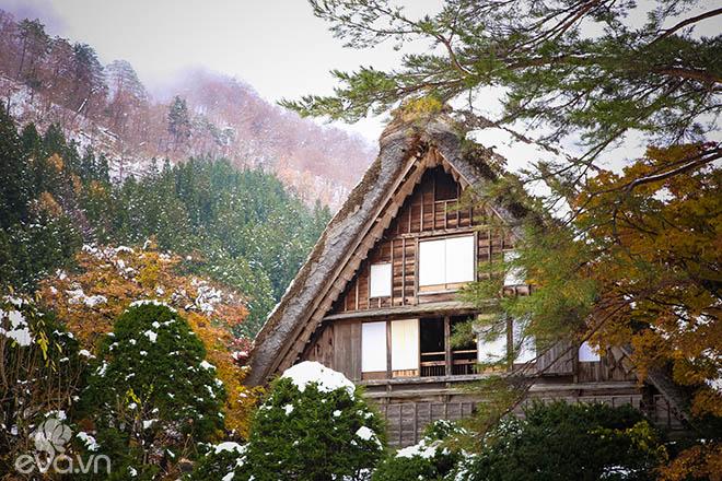 Tận mắt thấy quê hương của chú mèo máy Doraemon - làng Shirakawago đẹp như cổ tích - 7