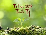 Eva tám - Tử vi năm 2018: Tuổi Tý thăng quan tiến chức, tình cảm thuận lợi
