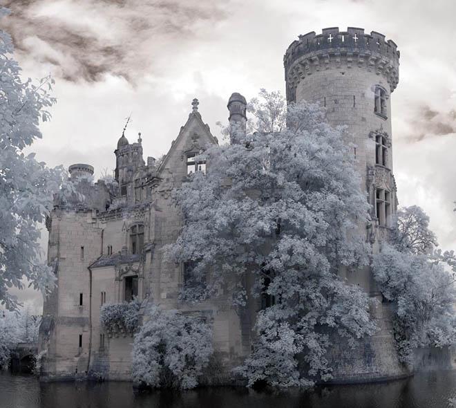 Phế tích Château de la Mothe-Chandeniers: hoàng kim của một thời quý tộc - 8