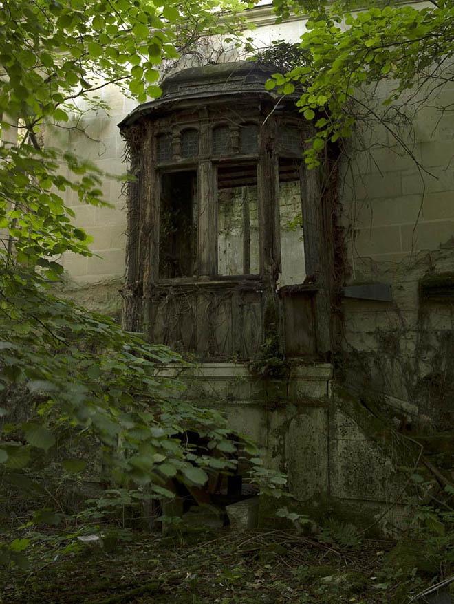 Phế tích Château de la Mothe-Chandeniers: hoàng kim của một thời quý tộc - 7
