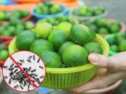 Nhà đẹp - Chỉ dùng vài quả chanh, chị em cũng đuổi được sạch kiến trong nhà không tốn một giọt mồ hôi