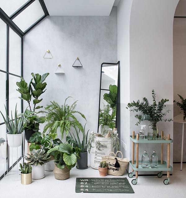 ngo ngang nha 3 tang trang muot dep nhu tranh “noi ban bat” giua day pho co kinh - 5