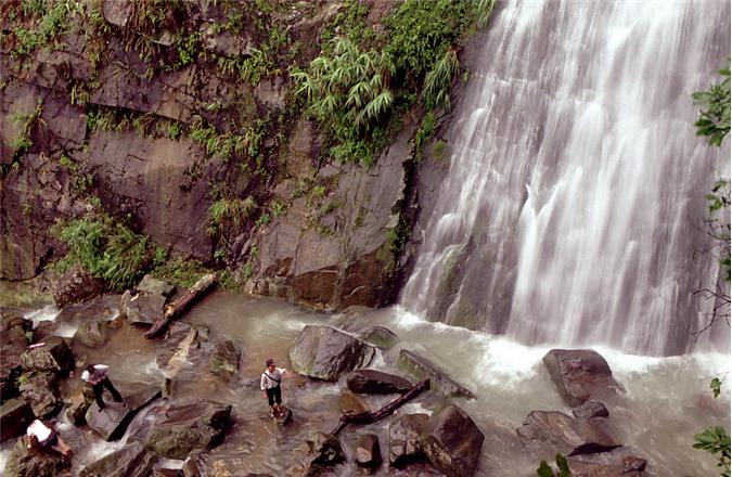 Tại sao nhiều người chọn Tam Đảo để đi nghỉ Tết dương? - 7