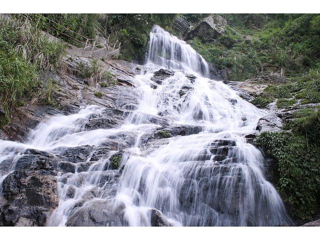 Tại sao nhiều người chọn Tam Đảo để đi nghỉ Tết dương? - 6