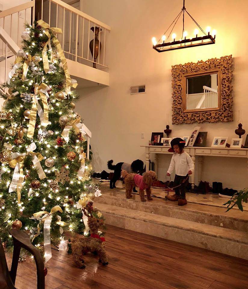 he lo can nha am cung cua hoa hau ha kieu anh tai my - 1