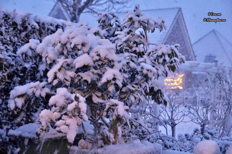 khong gian nha ruc ro lung linh sac mau don nam moi cua me viet o troi tay - 4