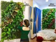 Nhà đẹp - Năm mới, tự làm bức tường hoa lá xanh mát trang trí nhà "sống ảo" như mẹ Sài Gòn