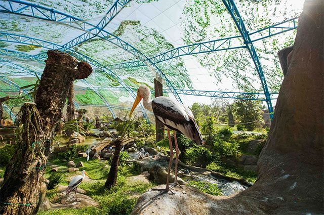 Một chuyến đi check-in “5 châu, 4 bể” - 6