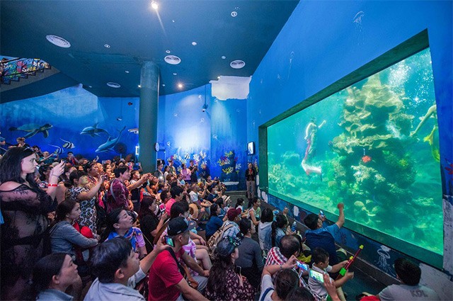 Một chuyến đi check-in “5 châu, 4 bể” - 7