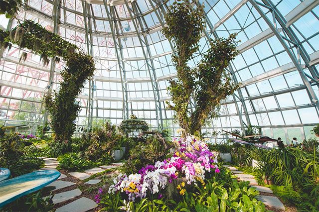 Một chuyến đi check-in “5 châu, 4 bể” - 1