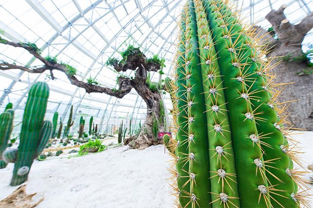 Một chuyến đi check-in “5 châu, 4 bể” - 4