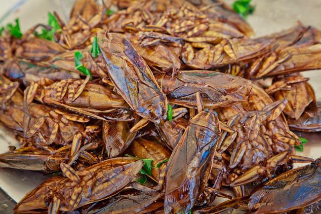 “Khóc thét” với 10 đặc sản kinh dị nhất Đông Nam Á - 2