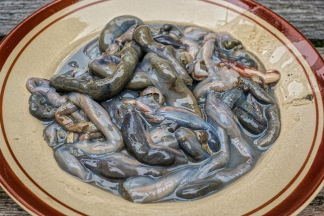 “Khóc thét” với 10 đặc sản kinh dị nhất Đông Nam Á - 3