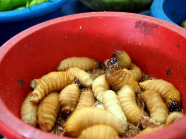“Khóc thét” với 10 đặc sản kinh dị nhất Đông Nam Á - 7