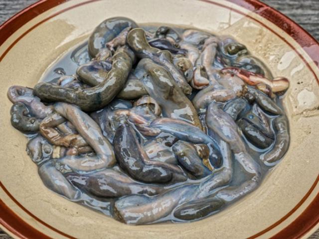 Khóc thét với 10 đặc sản kinh dị nhất Đông Nam Á