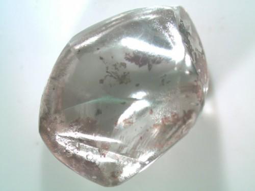 Sốc độc lạ: Cụ bà 71 tuổi nhặt được viên kim cương amp;#34;khủngamp;#34; ở công viên - 1