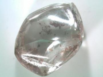 Sốc độc lạ: Cụ bà 71 tuổi nhặt được viên kim cương khủng ở công viên