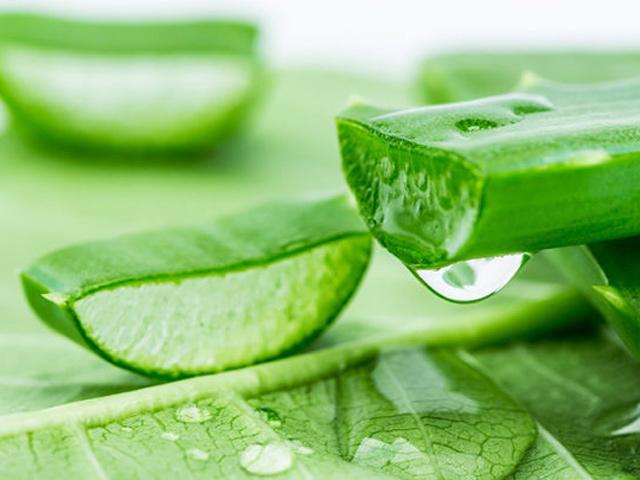 Các loại thảo dược giúp phòng ngừa ung thư