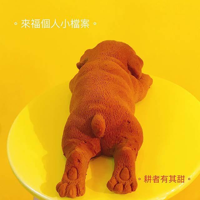 Nhìn xa cứ tưởng chó con, lại gần mới biết sự thật bất ngờ - 4