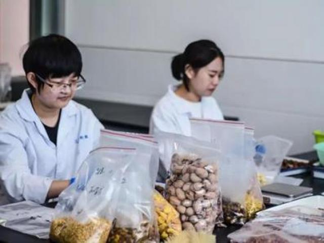 Nghề hot dành cho chị em: ngồi ăn vặt cả ngày, tháng đút túi hơn chục triệu