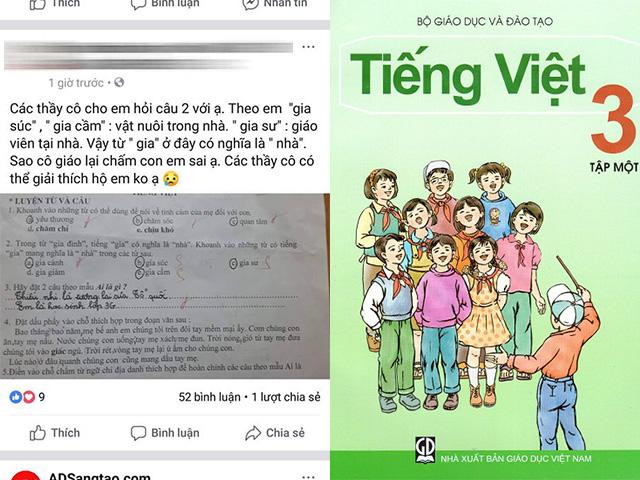 Bài tập Tiếng Việt lớp 3 khiến phụ huynh hoang mang: Trò sai hay cô giáo sai?