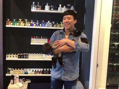 Trấn Thành livestream "khoe" mèo nhưng chiếc tủ sau lưng anh mới khiến dân tình xôn xao