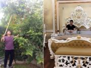 Nhà đẹp - Soi nhà Quang Lê tại Mỹ: Nhìn bên ngoài tưởng miệt vườn vào trong mới biết là cung điện