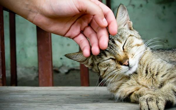Hai cô gái bị nấm da chỉ vì có chung một sở thích không ít người có - 3
