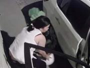 Clip Eva - Nửa đêm, người phụ nữ lái ô tô đi trộm 2 chậu cây cảnh trị giá... 500 nghìn đồng