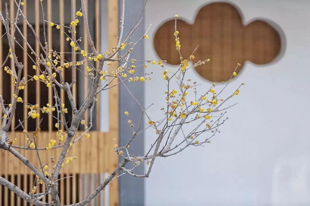 76 ngay cai tao khu dat trong, co gai khien moi nguoi vo oa khi buoc vao ben trong - 5