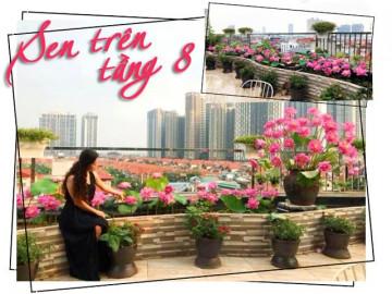 Chuyển hàng tấn đất làm ao sen, trồng hồng trên sân thượng, mẹ HN xây thiên đường phủ kín hoa