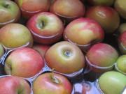 Bếp Eva - Hai cách rửa táo chuẩn khoa học có thể loại bỏ thuốc trừ sâu ngoài vỏ