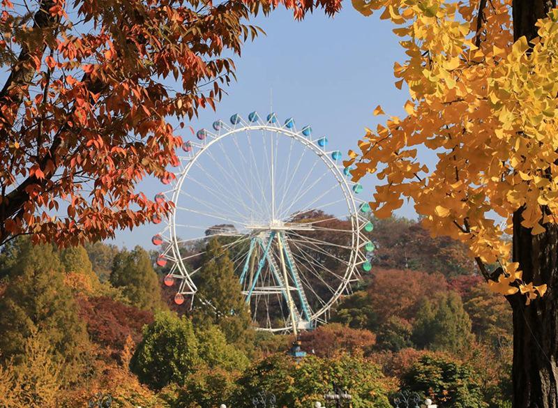 1. Bình yên và phiêu lưu ở Everland

Nằm ở tỉnh Gyeonggi-do, Công viên giải trí lớn nhất Hàn Quốc Everland nép mình trong những ngọn đồi thoai thoải của vùng nông thôn Hàn Quốc. Nơi đây có quang cảnh đẹp rực rỡ giữa mùa thu lá vàng.
