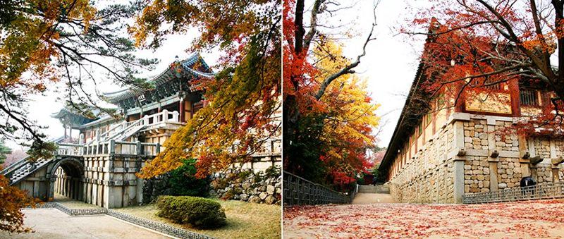 3. Sắc màu ảo diệu ở Đền Bulguksa

Chỉ cần đến phía Đông của cố đô Gyeongju của Hàn Quốc, nơi được mệnh danh là 'thành phố của bức tường', bạn sẽ thấy những kiến trúc lịch sử trong đó có đền Bulguska.
