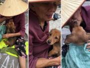 Tin tức - Sự thật không ai ngờ về câu chuyện bà lão bán "Cậu Vàng" lấy tiền chữa bệnh xôn xao MXH
