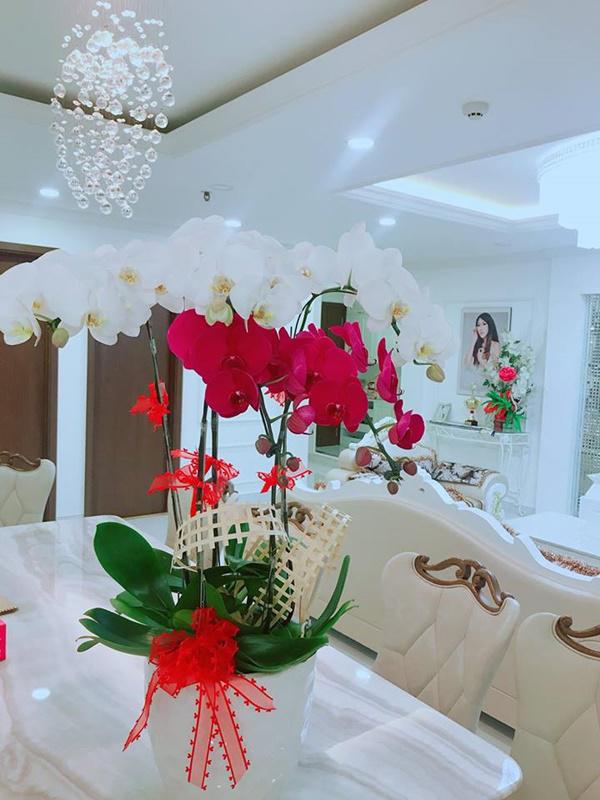 giau nhu phi thanh van, co biet thu sang chanh van xay them “cung dien” tien ty tang con trai - 10