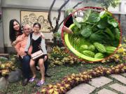 Nhà đẹp - Bất ngờ với nhà vườn sum suê rau trái của “ác mom” Gạo nếp, gạo tẻ - NSND Hồng Vân