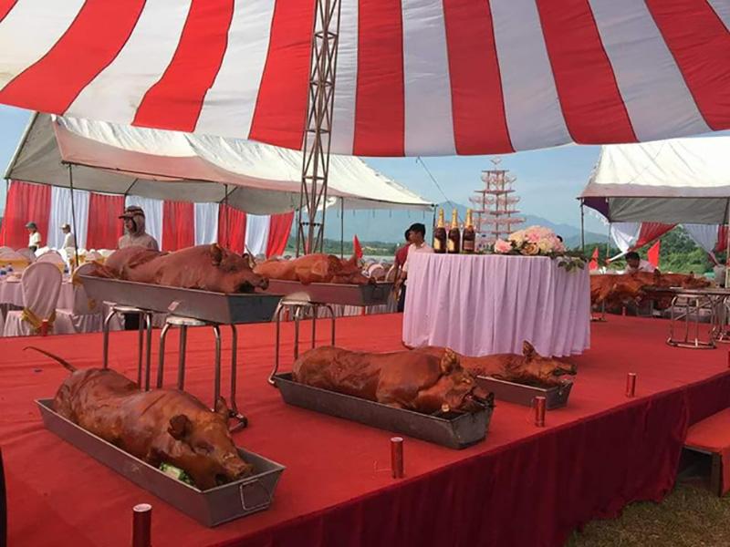 Hàng chục chú lợn quay có trọng lượng lớn được chuẩn bị sẵn sàng cho cỗ cưới.
