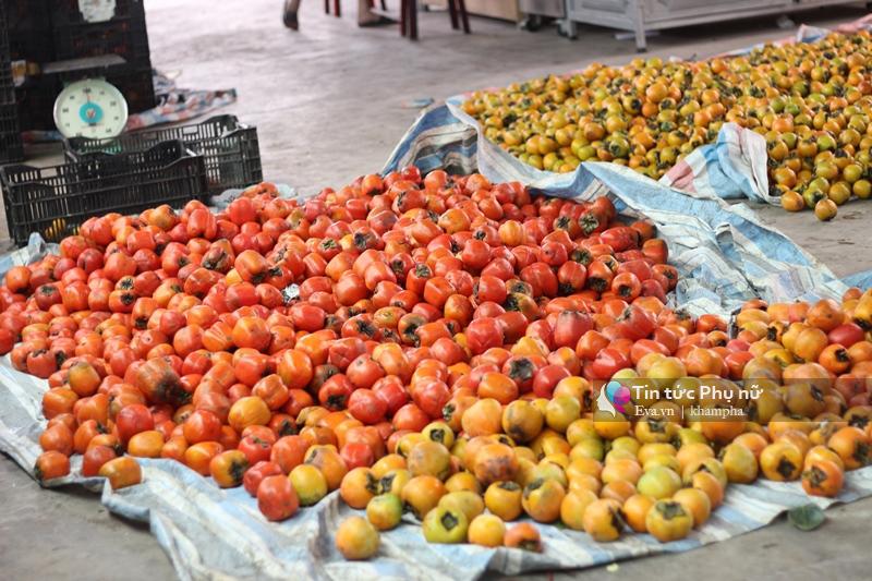 Ghé thăm các vườn hồng, bạn không chỉ được tha hồ chụp ảnh, ngắm nhìn mà còn tận mắt xem quy trình làm hồng sấy, hồng treo Đà Lạt.
