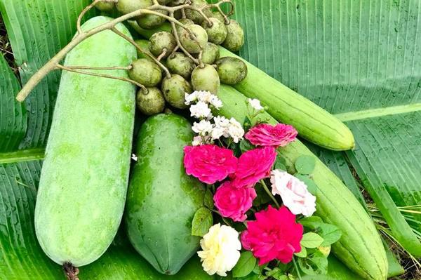 Vườn nhà đầy hoa, cây trái sai trĩu trịt phải thuê người làm không xuể của ca sĩ Mỹ Lệ - 3