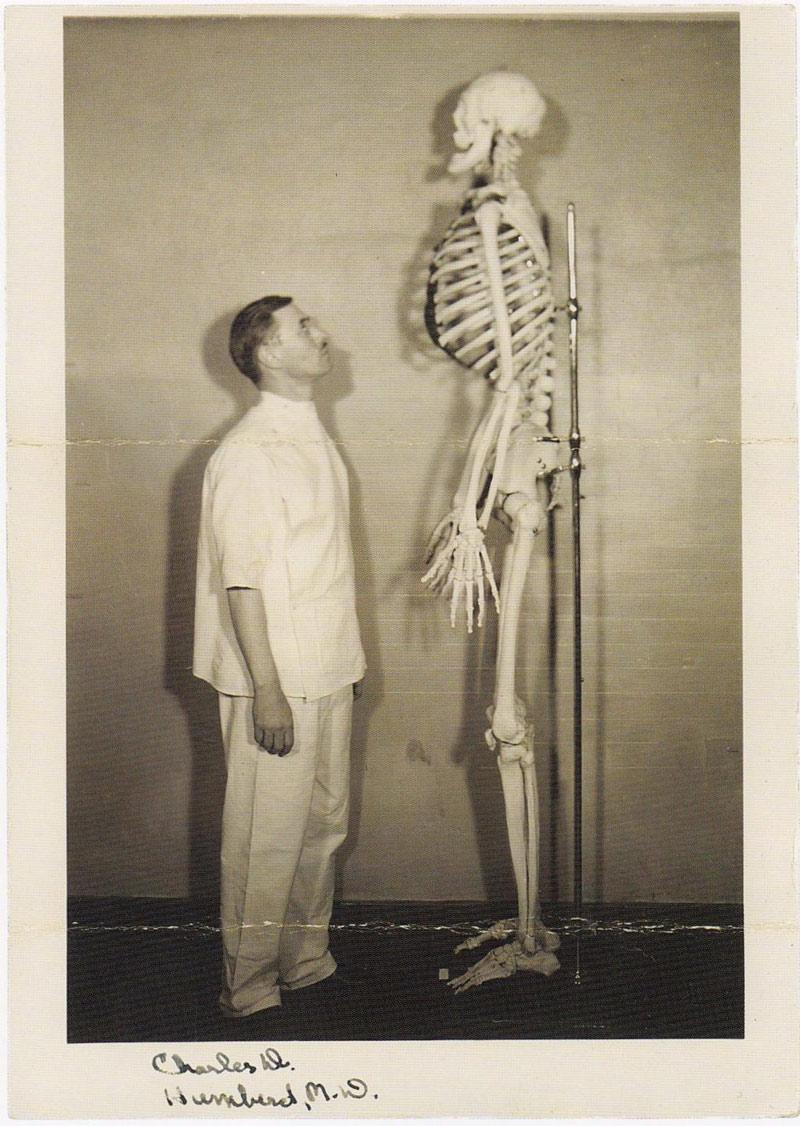 Bộ xương khổng lồ này thuộc về John Aasen - người sống vào cuối thế kỷ XIX (1890-1938). Anh ta là một diễn viên xiếc với chiều cao khoảng 2m14. Ông thường được chọn đóng một số vai phụ trong phim Hollywood. 
