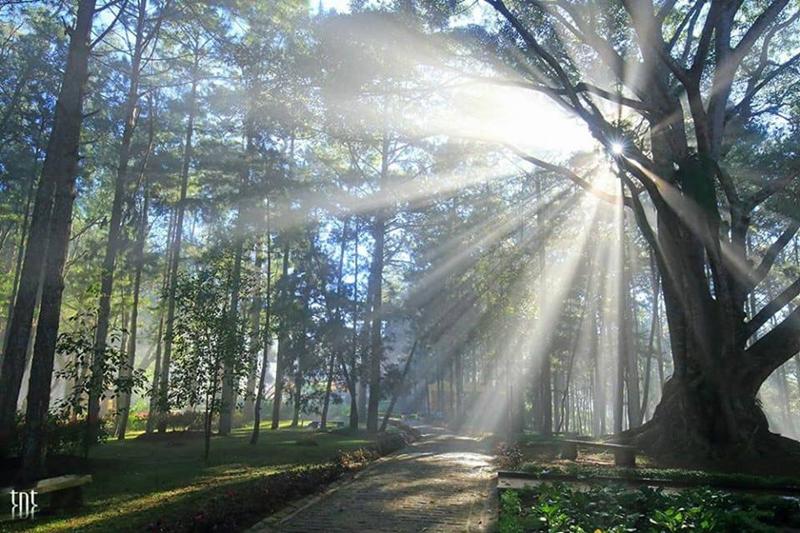 Tuy nhiên với vẻ đẹp "siêu thực" ấy, dân mạng lại nhận định rằng: "Qua tay các thợ thì nơi nào cũng là thiên đàng".
