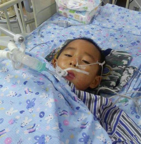 cau be 11 tuoi bi ung thu giai doan cuoi, cha me hay dung cho tre an do du thua - 1