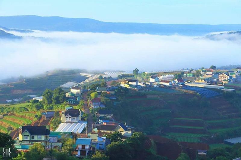 Những ngọn đồi, trang trại ẩn hiện trong sương.
