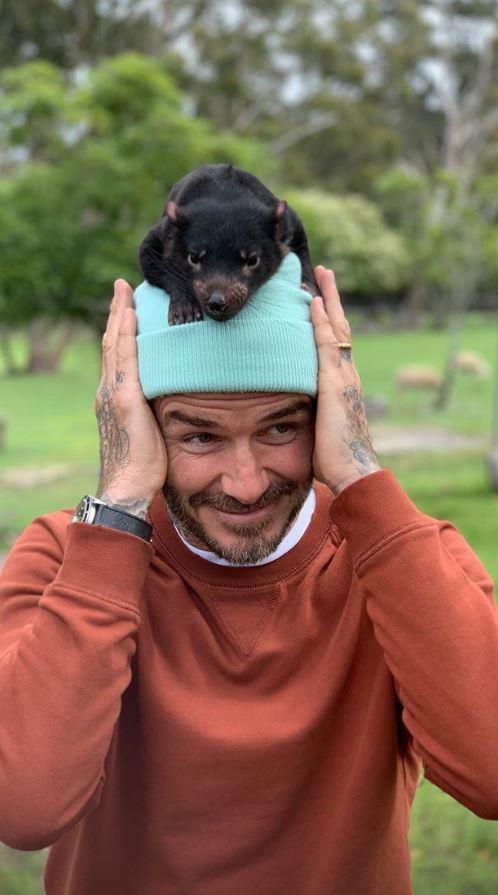 ngoi sao 24/7: khan gia sung nguoi khi biet day chinh la "thai tu phi" tung duoc yeu thich nhat - 10