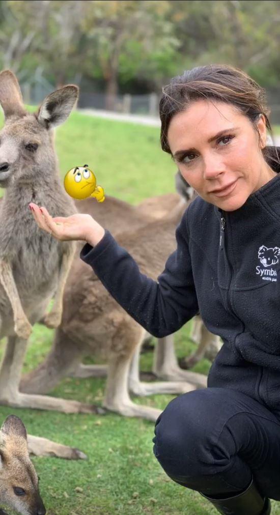 ngoi sao 24/7: khan gia sung nguoi khi biet day chinh la "thai tu phi" tung duoc yeu thich nhat - 11