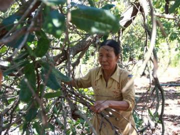 Chuyện ở “Dốc không chồng”: cắn răng, nhịn nhục đi xin vài đứa con về nuôi