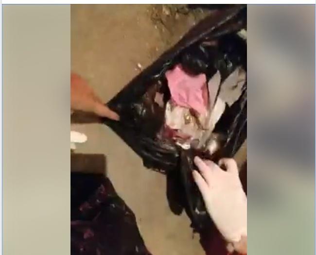 chang sinh vien 2 nam nhat hon 3.000 xac hai nhi: co nguoi nghi chung toi buon ma tuy - 1